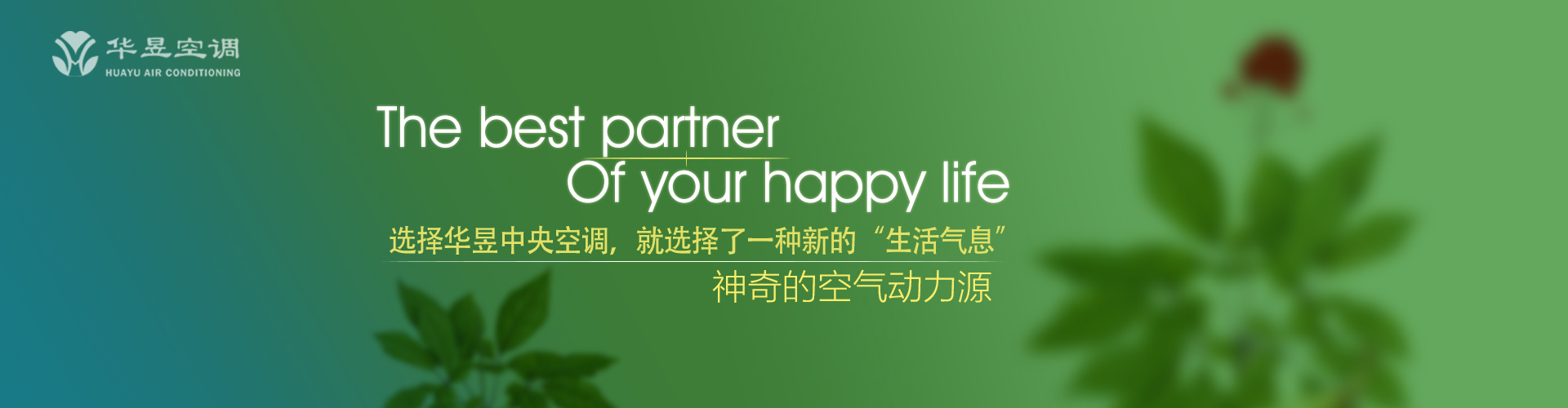 疾恶如仇网